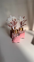 Luxury Scented Diffusers